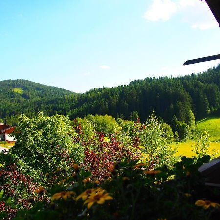 Appartment Kainhofer Sankt Martin am Tennengebirge Esterno foto