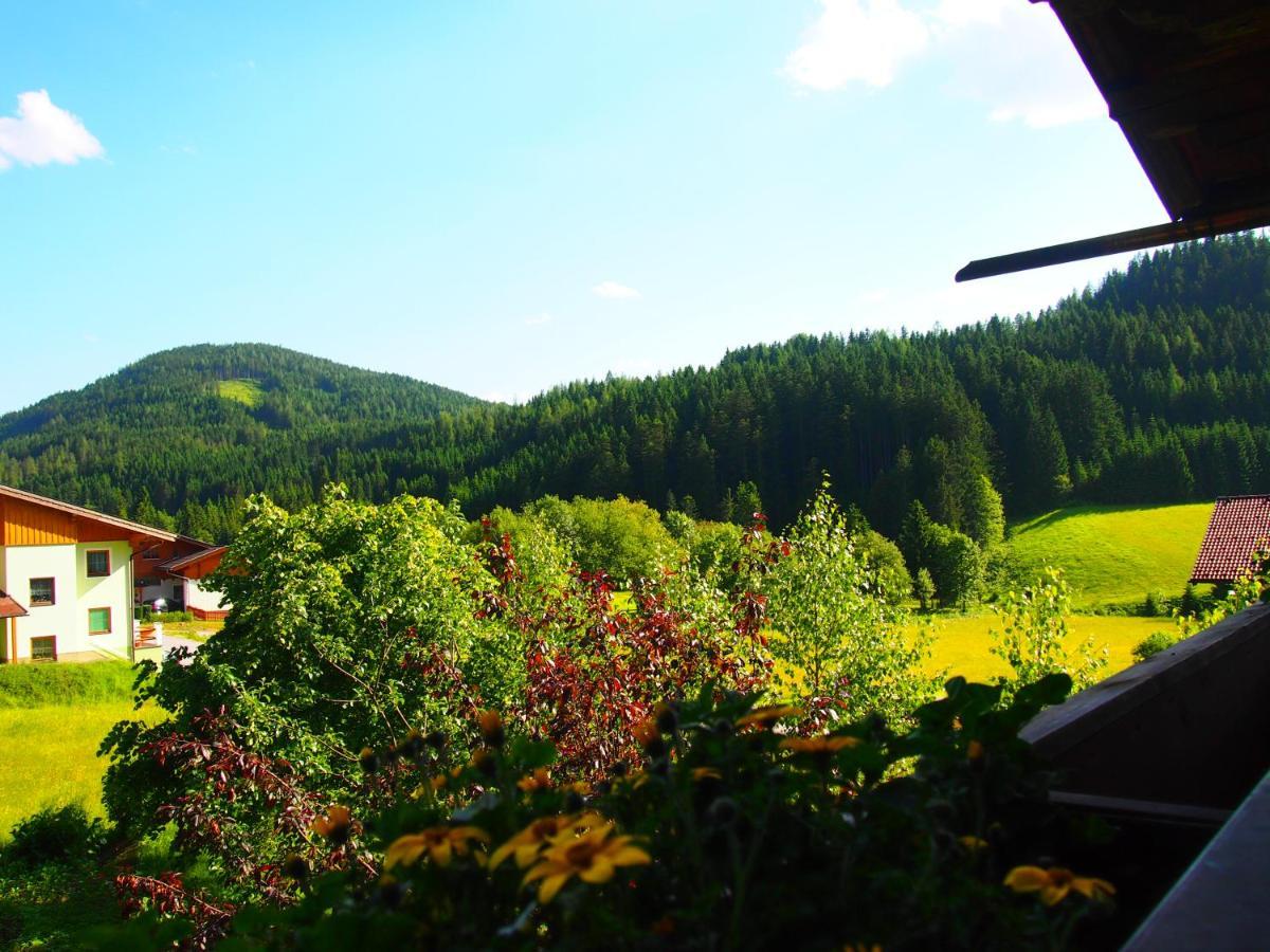 Appartment Kainhofer Sankt Martin am Tennengebirge Esterno foto
