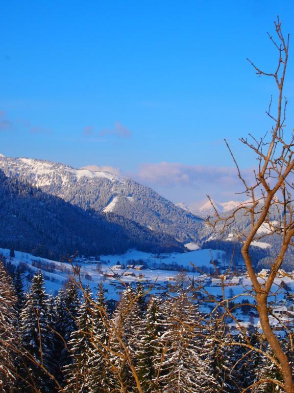 Appartment Kainhofer Sankt Martin am Tennengebirge Esterno foto