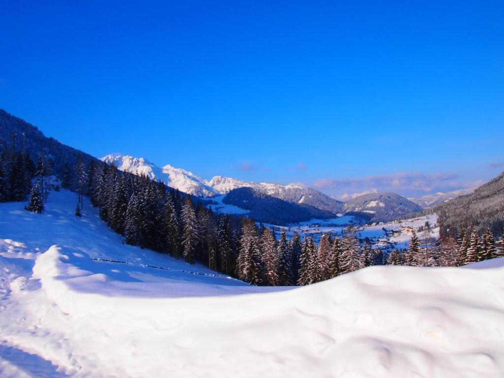 Appartment Kainhofer Sankt Martin am Tennengebirge Esterno foto