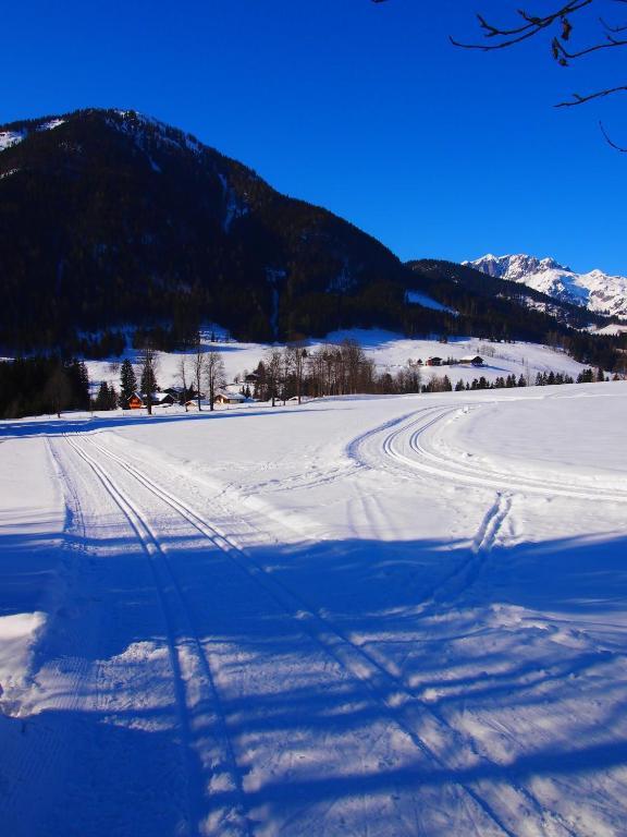Appartment Kainhofer Sankt Martin am Tennengebirge Esterno foto