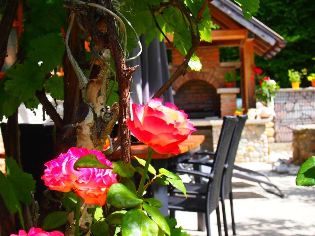 Appartment Kainhofer Sankt Martin am Tennengebirge Camera foto